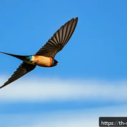 Home 31 솔로몬 제도 철새 이동 경로 - A vivid scene of a Pacific swallow soaring swiftly above the Solomon Islands’ lush tropical forest d...