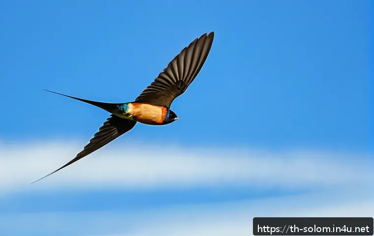 솔로몬 제도 철새 이동 경로 - A vivid scene of a Pacific swallow soaring swiftly above the Solomon Islands&rsquo; lush tropical forest d...
